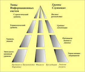 Виды информационных систем на фирме Виды информационных систем на фирме