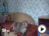Посмотреть это видео на YouTube