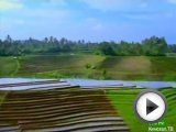Посмотреть это видео на YouTube